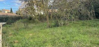 Terrain à La Penne-sur-Huveaune en Bouches-du-Rhône (13) de 550 m² à vendre au prix de 296000€ - 4