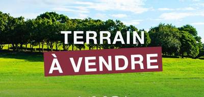 Terrain à Saint-Ciers-sur-Gironde en Gironde (33) de 997 m² à vendre au prix de 44000€ - 3