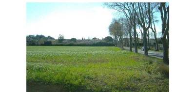 Terrain à Lieuran-lès-Béziers en Hérault (34) de 650 m² à vendre au prix de 94000€ - 3