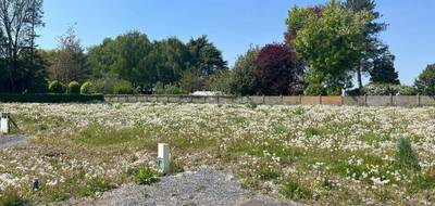 Terrain à Habarcq en Pas-de-Calais (62) de 441 m² à vendre au prix de 59500€ - 1