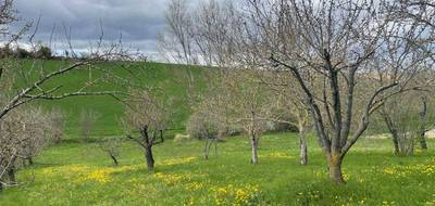 Terrain à Le Cabanial en Haute-Garonne (31) de 1400 m² à vendre au prix de 35000€ - 1