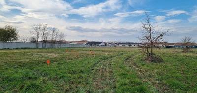 Terrain et maison à Lavernose-Lacasse en Haute-Garonne (31) de 166 m² à vendre au prix de 397000€ - 4