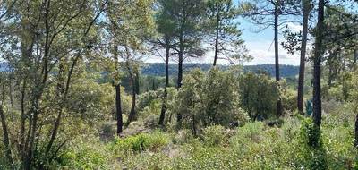 Terrain et maison à Sillans-la-Cascade en Var (83) de 93 m² à vendre au prix de 292976€ - 3