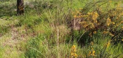 Terrain à Parentis-en-Born en Landes (40) de 260 m² à vendre au prix de 87000€ - 1