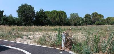 Terrain à Le Triadou en Hérault (34) de 500 m² à vendre au prix de 239000€ - 2