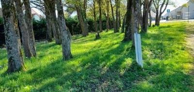 Terrain et maison à Cinq-Mars-la-Pile en Indre-et-Loire (37) de 50 m² à vendre au prix de 174900€ - 2