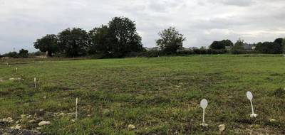 Terrain et maison à Avoine en Indre-et-Loire (37) de 86 m² à vendre au prix de 224172€ - 4