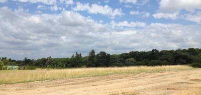 Terrain et maison à Chemillé-en-Anjou en Maine-et-Loire (49) de 120 m² à vendre au prix de 351000€ - 3