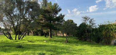 Terrain et maison à Bollène en Vaucluse (84) de 93 m² à vendre au prix de 233900€ - 3