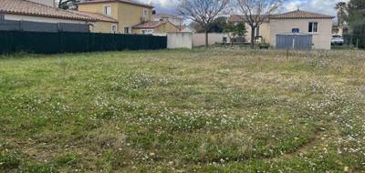 Terrain à Cournonsec en Hérault (34) de 600 m² à vendre au prix de 290000€ - 1