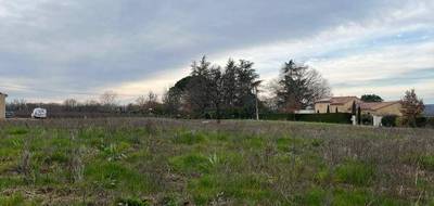 Terrain à Montans en Tarn (81) de 655 m² à vendre au prix de 67260€ - 1