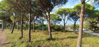 Terrain à Puget-sur-Argens en Var (83) de 656 m² à vendre au prix de 250000€ - 3