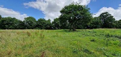 Terrain et maison à Chissay-en-Touraine en Loir-et-Cher (41) de 72 m² à vendre au prix de 189566€ - 3