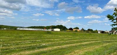 Terrain et maison à Bornel en Oise (60) de 80 m² à vendre au prix de 350000€ - 3