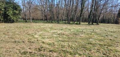 Terrain à Gamarde-les-Bains en Landes (40) de 1000 m² à vendre au prix de 75000€ - 1