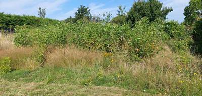 Terrain à Fronton en Haute-Garonne (31) de 590 m² à vendre au prix de 75000€ - 3