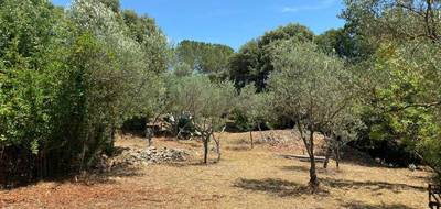 Terrain et maison à Camps-la-Source en Var (83) de 99 m² à vendre au prix de 336000€ - 3