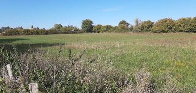 Terrain à Sargé-lès-le-Mans en Sarthe (72) de 305 m² à vendre au prix de 60000€ - 1