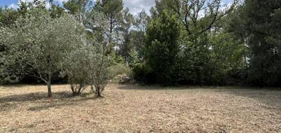 Terrain à Trans-en-Provence en Var (83) de 800 m² à vendre au prix de 180000€ - 3