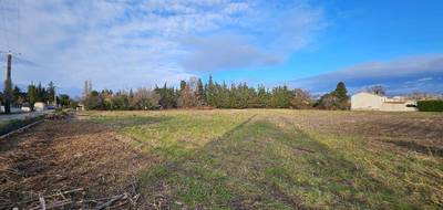 Terrain et maison à Sénas en Bouches-du-Rhône (13) de 76 m² à vendre au prix de 305000€ - 3