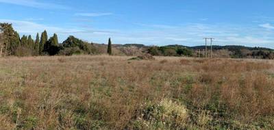 Terrain et maison à Clermont-l'Hérault en Hérault (34) de 100 m² à vendre au prix de 465100€ - 4