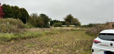 Terrain et maison à Brie-Comte-Robert en Seine-et-Marne (77) de 102 m² à vendre au prix de 329000€ - 3