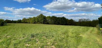 Terrain et maison à Horsarrieu en Landes (40) de 65 m² à vendre au prix de 198000€ - 3