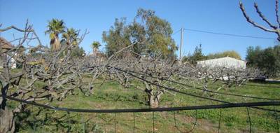 Terrain à La Crau en Var (83) de 1451 m² à vendre au prix de 410000€ - 4