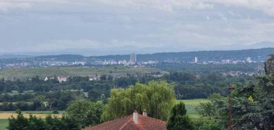 Terrain et maison à Cernay en Haut-Rhin (68) de 110 m² à vendre au prix de 414000€ - 4