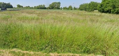 Terrain et maison à Neuillé-Pont-Pierre en Indre-et-Loire (37) de 110 m² à vendre au prix de 297000€ - 3