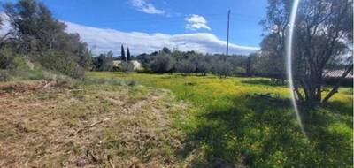 Terrain à Montfrin en Gard (30) de 450 m² à vendre au prix de 119000€ - 1