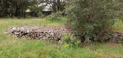 Terrain à Lorgues en Var (83) de 700 m² à vendre au prix de 148500€ - 3