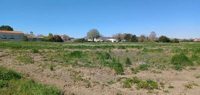 Terrain et maison à Saint-Denis-d'Oléron en Charente-Maritime (17) de 90 m² à vendre au prix de 265146€ - 3