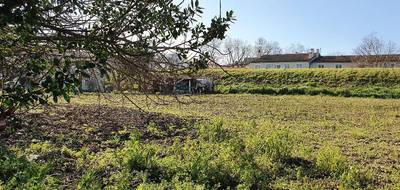 Terrain et maison à Castelnaudary en Aude (11) de 67 m² à vendre au prix de 192884€ - 4