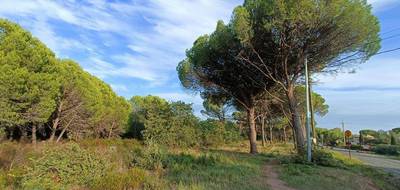 Terrain à Puget-sur-Argens en Var (83) de 656 m² à vendre au prix de 250000€ - 4