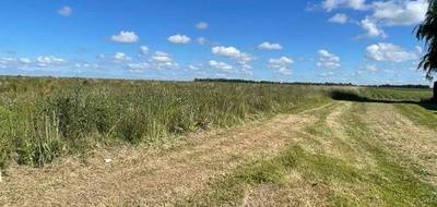 Terrain et maison à Creully sur Seulles en Calvados (14) de 80 m² à vendre au prix de 247900€ - 4