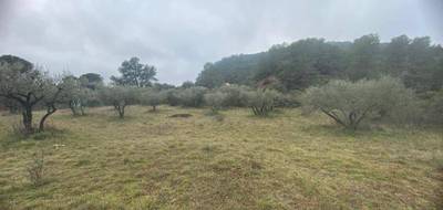 Terrain à Gonfaron en Var (83) de 586 m² à vendre au prix de 125000€ - 4