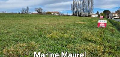 Terrain à Villeneuve-de-Duras en Lot-et-Garonne (47) de 4000 m² à vendre au prix de 40000€ - 1