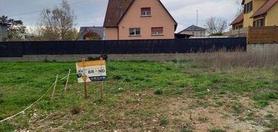 Terrain et maison à Wolfgantzen en Haut-Rhin (68) de 110 m² à vendre au prix de 357900€ - 3