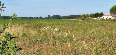 Terrain à Mornac-sur-Seudre en Charente-Maritime (17) de 396 m² à vendre au prix de 99000€ - 1