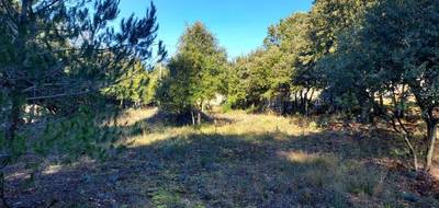 Terrain à Sillans-la-Cascade en Var (83) de 1000 m² à vendre au prix de 125000€ - 1