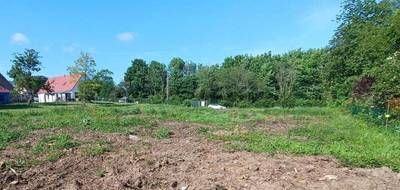 Terrain et maison à La Capelle-lès-Boulogne en Pas-de-Calais (62) de 125 m² à vendre au prix de 335000€ - 4