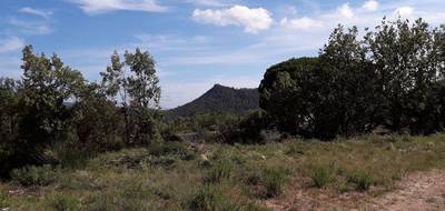 Terrain à Bagnols-en-Forêt en Var (83) de 1300 m² à vendre au prix de 238000€ - 2