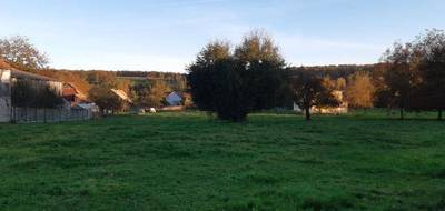 Terrain à Hagenthal-le-Haut en Haut-Rhin (68) de 1500 m² à vendre au prix de 290000€ - 2