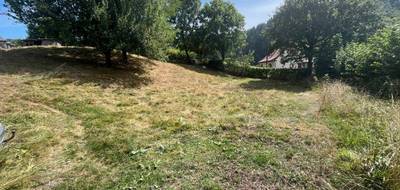 Terrain à Lascelle en Cantal (15) de 766 m² à vendre au prix de 35000€ - 3