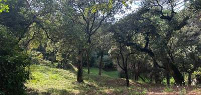 Terrain à Sainte-Maxime en Var (83) de 1500 m² à vendre au prix de 550000€ - 2