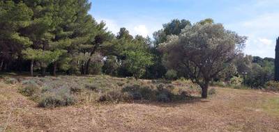 Terrain à Sanary-sur-Mer en Var (83) de 500 m² à vendre au prix de 460000€ - 3