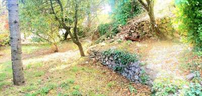 Terrain à Carnoules en Var (83) de 150 m² à vendre au prix de 85000€ - 3