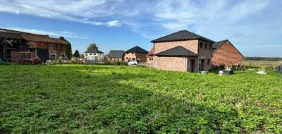 Terrain à Mons-en-Pévèle en Nord (59) de 562 m² à vendre au prix de 116000€ - 1