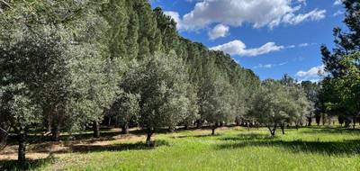 Terrain à Lézignan-la-Cèbe en Hérault (34) de 413 m² à vendre au prix de 123500€ - 2